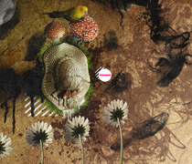 服务器攻击软件